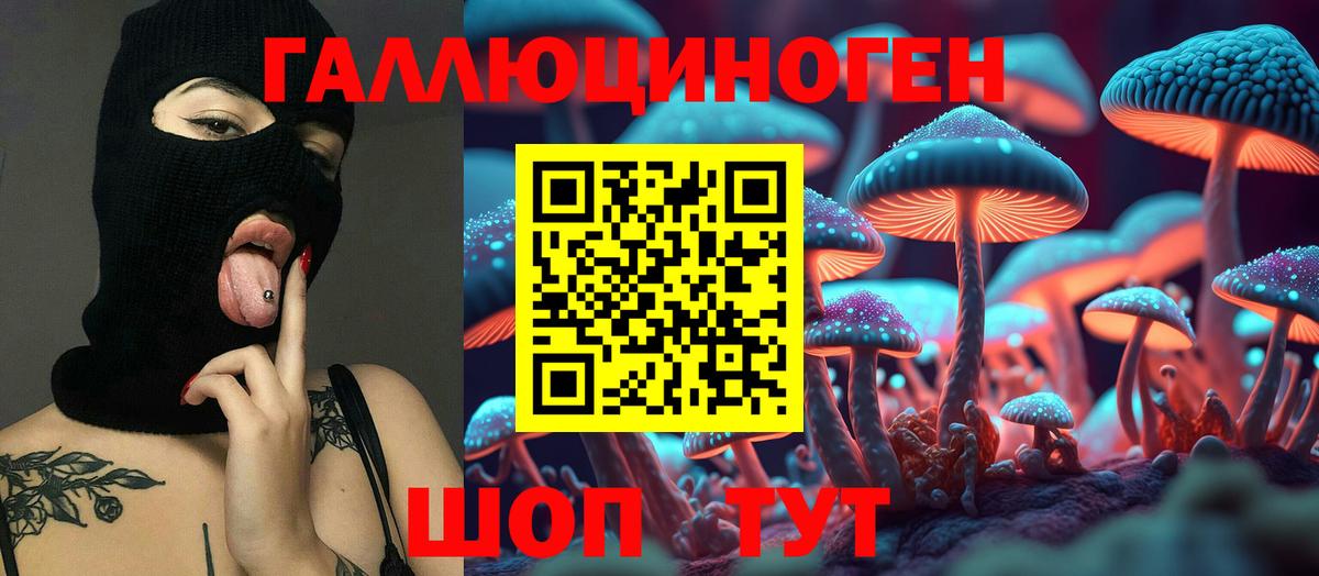 дарнет шоп  Вход с VPN  Шелехов  Галлюциногенные грибы Psilocybe 