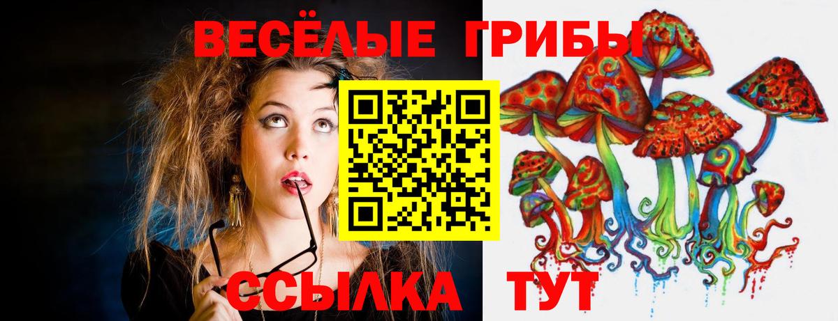 Галлюциногенные грибы GOLDEN TEACHER Шелехов